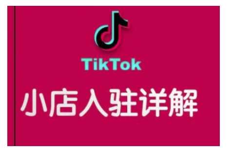 TikTok跨境小店运营全攻略，帮助你独立运营TK跨境小店的能力，实现销量增长-网创空间