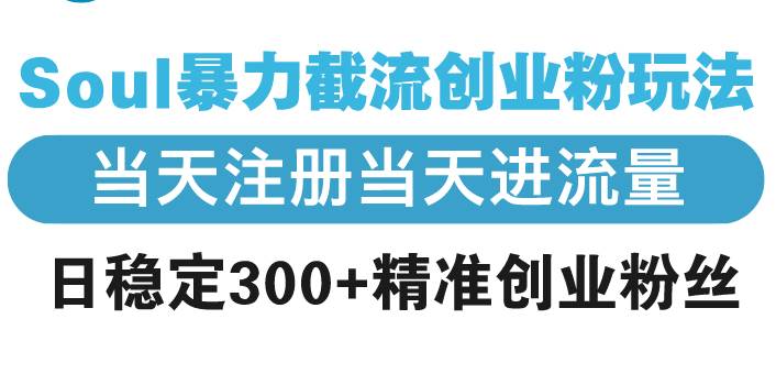 （13935期）Soul暴力截流创业粉玩法，当天注册当天进流量，日稳定300+精准创业粉丝-网创空间