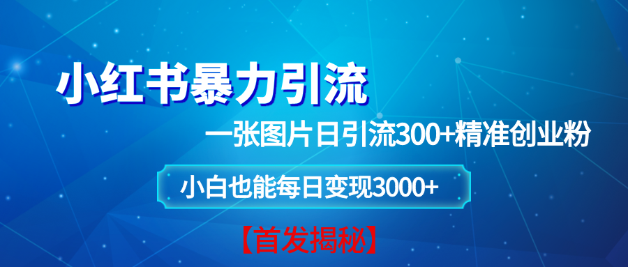 （13935期）小红书暴力引流法，一张图片日引 300+精准创业粉，每日稳定变现 3000+【揭秘】-网创空间