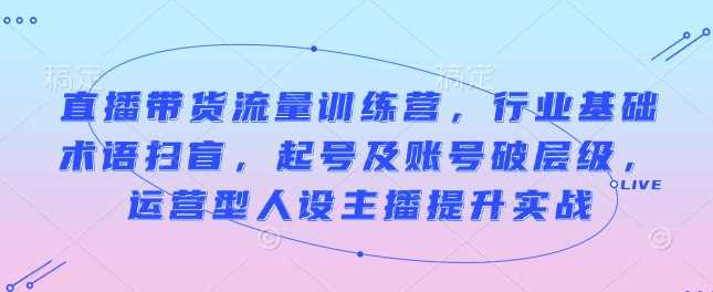直播带货流量训练营，行业基础术语扫盲，起号及账号破层级，运营型人设主播提升实战-网创空间