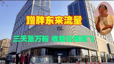 蹭胖东来流量，三天涨万粉，收益直接起飞-网创空间