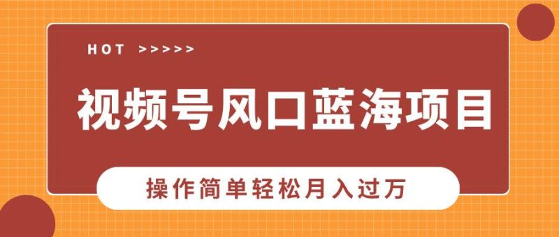 （13945期）视频号风口蓝海项目，中老年人的流量密码，操作简单轻松月入过万-网创空间