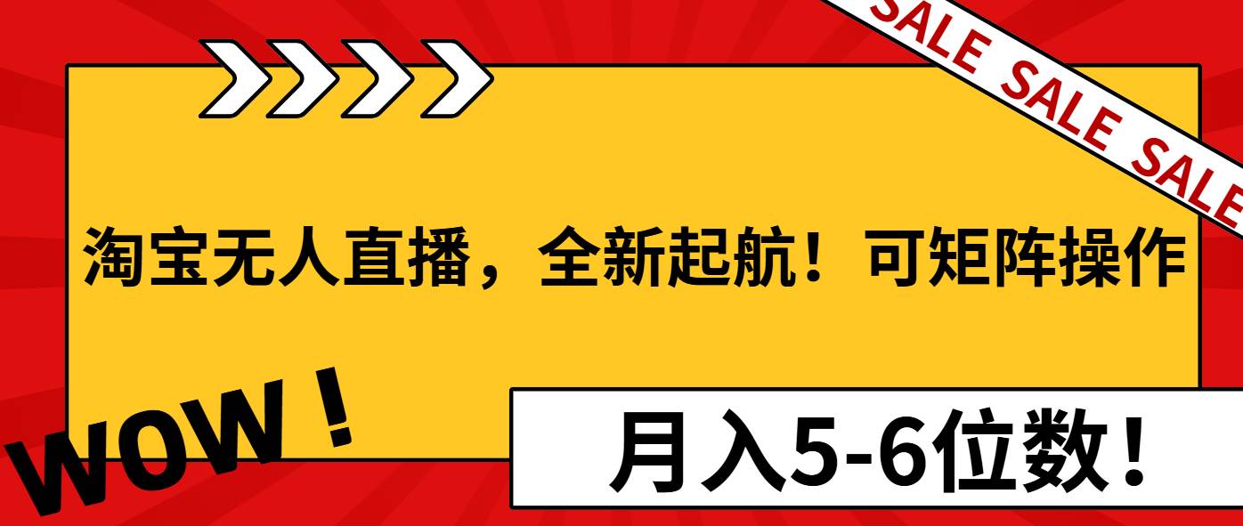（13946期）淘宝无人直播，全新起航！可矩阵操作，月入5-6位数！-网创空间
