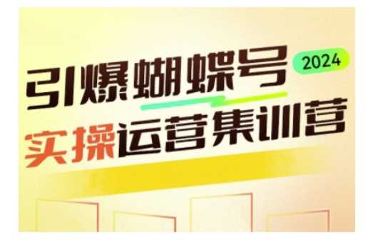 引爆蝴蝶号实操运营，助力你深度掌握蝴蝶号运营，实现高效实操，开启流量变现之路-网创空间