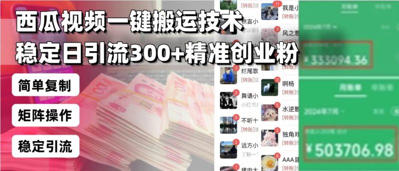 （13961期）西瓜视频一键搬运技术，稳定日引流300+精准创业粉，简单可复制给团队，…-网创空间