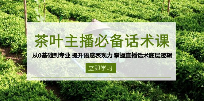 茶叶 主播必备话术课 从0基础到专业 提升语感表现力 掌握直播话术底层逻辑-网创空间
