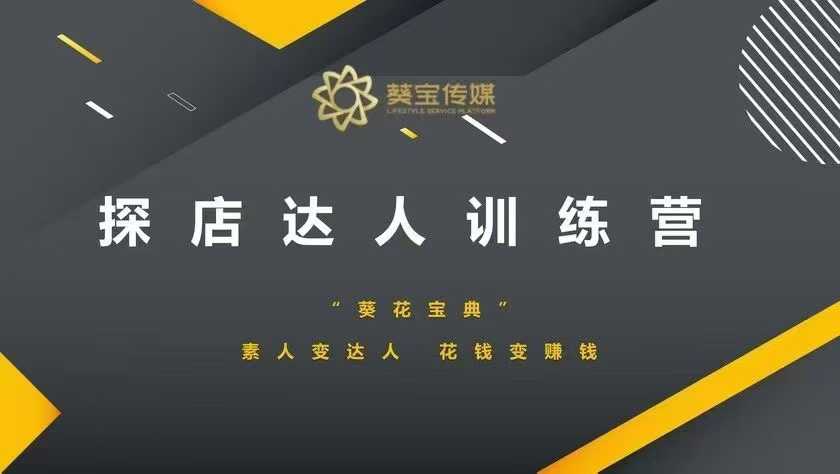 探店达人训练营，素人变达人，花钱变赚钱-网创空间
