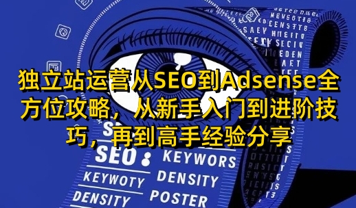 独立站运营从SEO到Adsense全方位攻略，从新手入门到进阶技巧，再到高手经验分享-网创空间