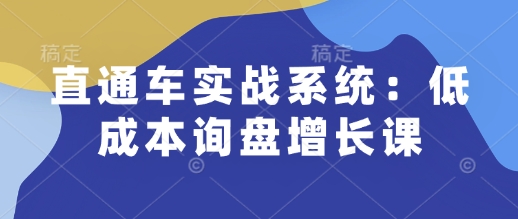 直通车实战系统：低成本询盘增长课，让个人通过技能实现升职加薪，让企业低成本获客，订单源源不断-网创空间