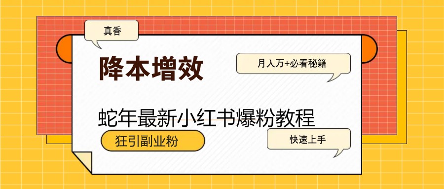 蛇年最新小红书爆粉教程，狂引副业粉，月入万+必看-网创空间