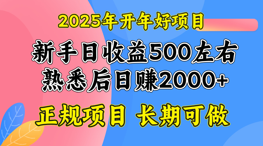 2025开年好项目，单号日收益2000左右-网创空间