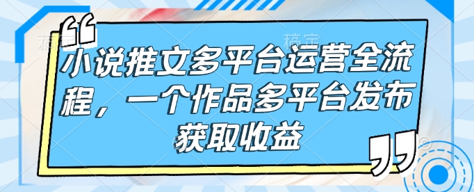 小说推文多平台运营全流程，一个作品多平台发布获取收益-网创空间