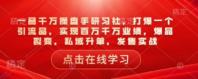 一品千万操盘手研习社，打爆一个引流品，实现百万千万业绩，爆品裂变，私域升单，发售实战-网创空间