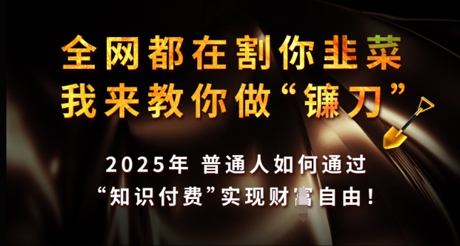 全网都在割你韭菜，我来教你做镰刀，2025年普通人如何通过 知识付费 实现财F自由【揭秘】-网创空间