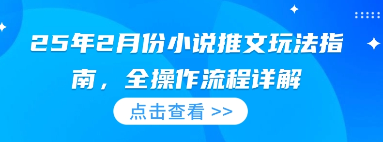 25年2月份小说推文玩法指南，全操作流程详解-网创空间