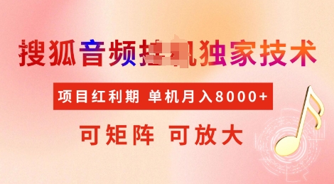 全网首发搜狐音频挂JI独家技术，项目红利期，可矩阵可放大，稳定月入8k【揭秘】-网创空间