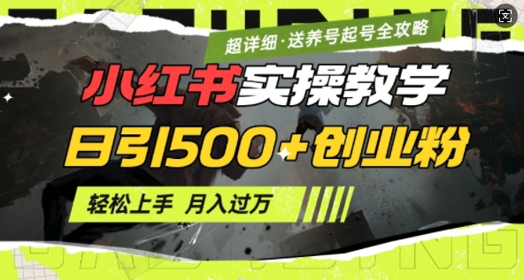 2月小红书最新日引500+创业粉实操教学【超详细】小白轻松上手，月入1W+，附小红书养号起号SOP-网创空间