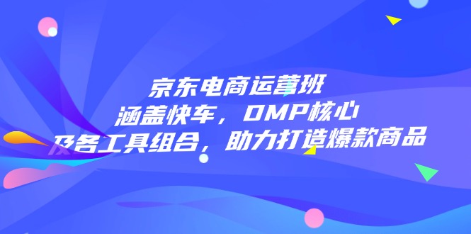 京东电商运营班：涵盖快车，DMP核心及各工具组合，助力打造爆款商品-网创空间