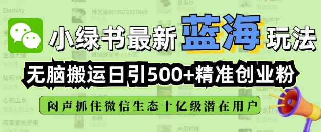 小绿书无脑搬运引流，全自动日引500精准创业粉，微信生态内又一个闷声发财的机会-网创空间