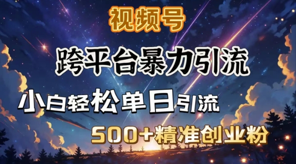 跨平台暴力引流，私域完美闭环，日引500+精准创业粉-网创空间