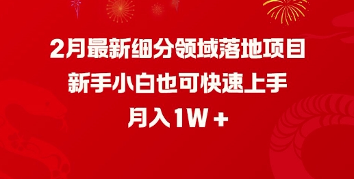 2月最新细分领域落地项目，新手小白也可快速上手，月入1W-网创空间