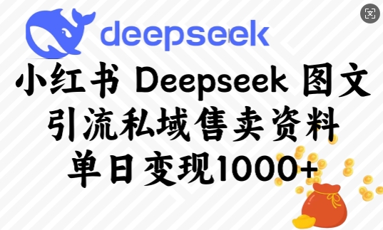 小红书Deepseek图文引流私域售卖资料，单日变现多张-网创空间