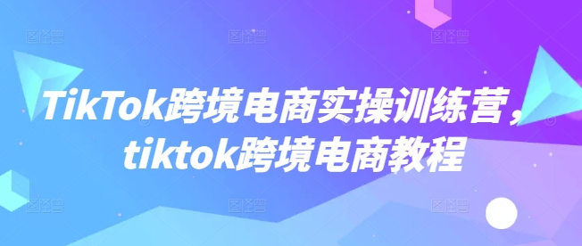 TikTok跨境电商实操训练营，tiktok跨境电商教程-网创空间