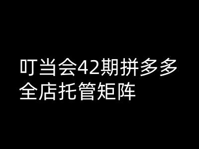 叮当会拼多多打爆班原创高阶技术第42期，拼多多全店托管矩阵-网创空间