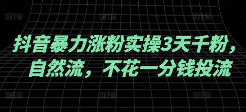 抖音暴力涨粉实操3天千粉，自然流，不花一分钱投流，实操经验分享-网创空间