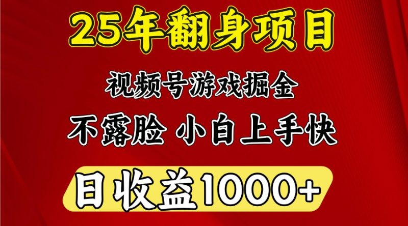 一天收益1000+ 25年开年落地好项目-网创空间