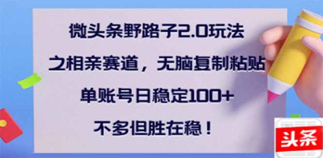 微头条野路子2.0玩法之相亲赛道，无脑搬砖复制粘贴，单账号日稳定300+…-网创空间