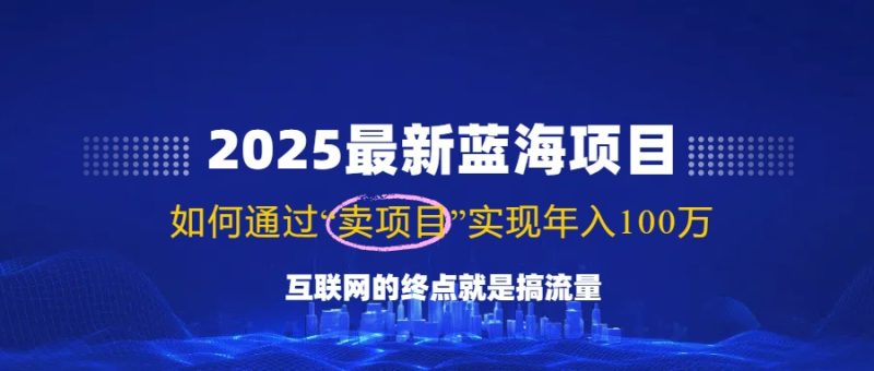 2025最新蓝海项目,零门槛轻松复制,月入10万+,新手也能操作!-网创空间